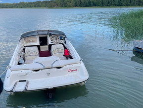 Sea Ray 175 Sport
