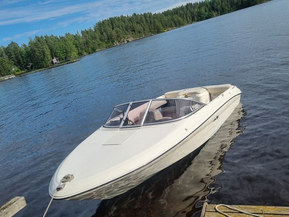 Sea Ray 175 Sport