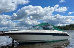 Sea Ray 220 CC