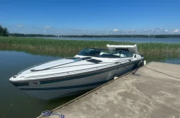 Formula 242 LS