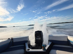 Bayliner 1750 Capri