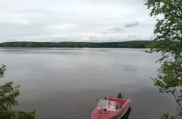 Kasanka
