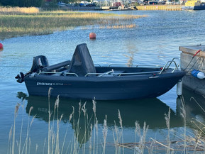 Pioner 14 Active