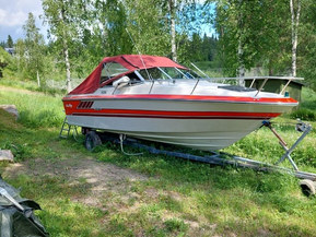 Sea Ray 