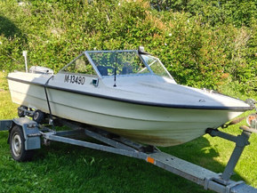 Hirvas 440