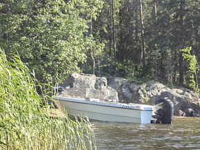 Lappi 