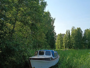 Suvi Muu malli