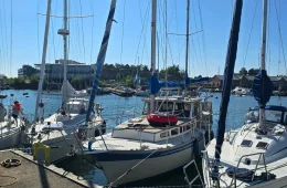 SeaFinn Muu malli