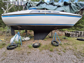 Sunwind 26