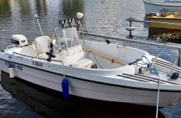 Flipper 470 S