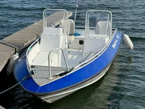 Silver Hawk 520