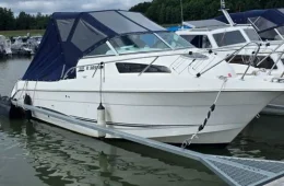 Galeon