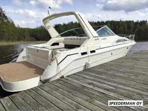 Sea Ray 280/315 Sundancer