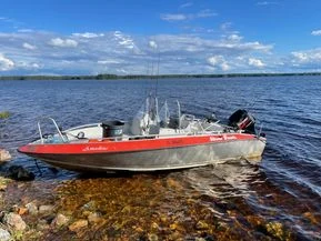 Silver Hawk 520