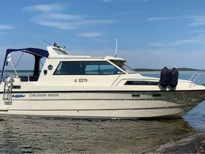 SeaStar 8000 Cruiser