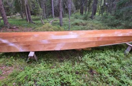 Puuvene