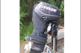 Evinrude E-tec