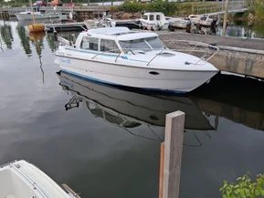 Bella Falcon 26