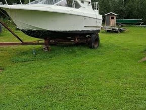 Coronet 24 family
