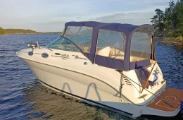 Sea Ray 240 Sundancer