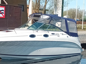 Sea Ray 240 Sundancer
