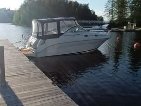 Sea Ray 240 Sundancer