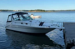 Sea Ray 290 Sundancer