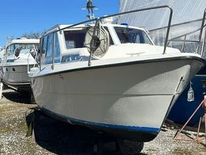 Bella 8001