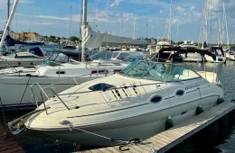 Sea Ray 255 Sundancer
