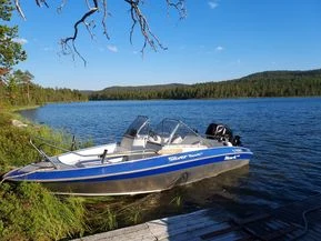 Silver Hawk 540 DC