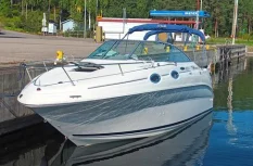 Sea Ray 240 Sundancer