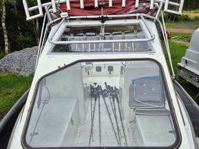 Silver Hawk 520