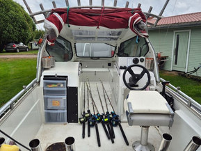 Silver Hawk 520