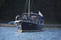Family Cruiser Muu malli