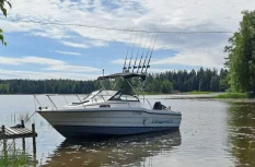 Bayliner 2002 Trophy