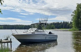 Bayliner 2002 Trophy