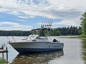 Bayliner 2002 Trophy