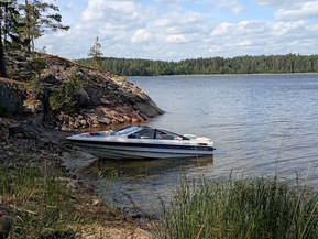 Bayliner 
