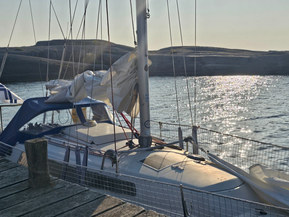 NF 30