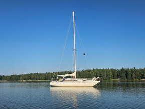 NF 30