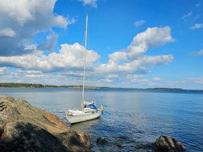 NF 30
