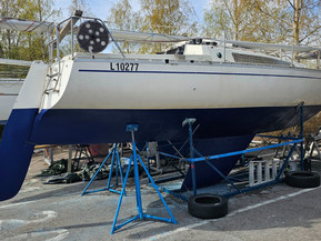NF 30