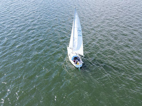 NF 30