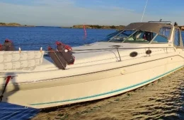 Sea Ray 290 Sundancer