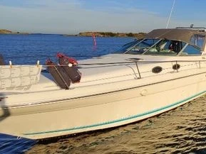 Sea Ray 290 Sundancer Diesel
