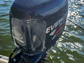 Evinrude 50 hv DF50