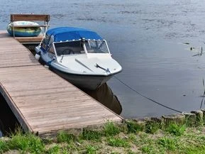 Hirvas 440