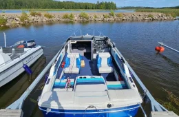 Bayliner 1952 Capri