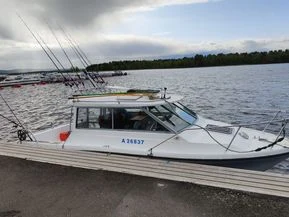 Bayliner 2159 Trophy