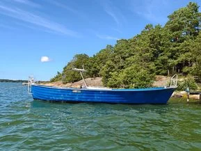 Kulkuri Muu malli 30 Avo